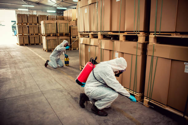 Best Pest Control Near Me in Gages Lake, IL