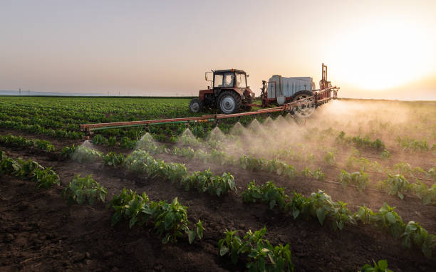 Best Ant Control Services  in Gages Lake, IL
