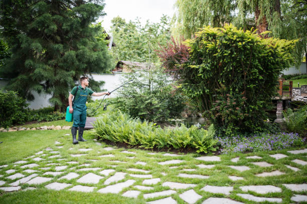 Best Affordable Pest Control Services  in Gages Lake, IL