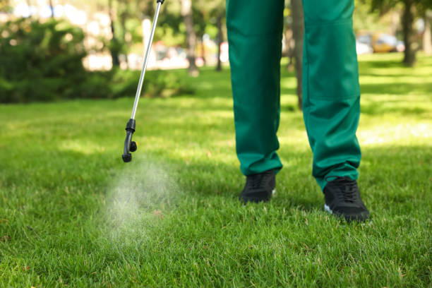 Best Wasp Removal Services  in Gages Lake, IL