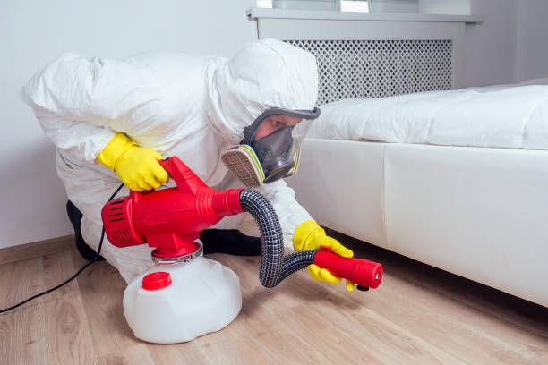 Best Emergency Pest Control  in Gages Lake, IL