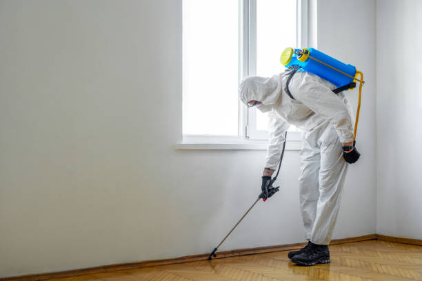 Best Local Pest Control Services  in Gages Lake, IL