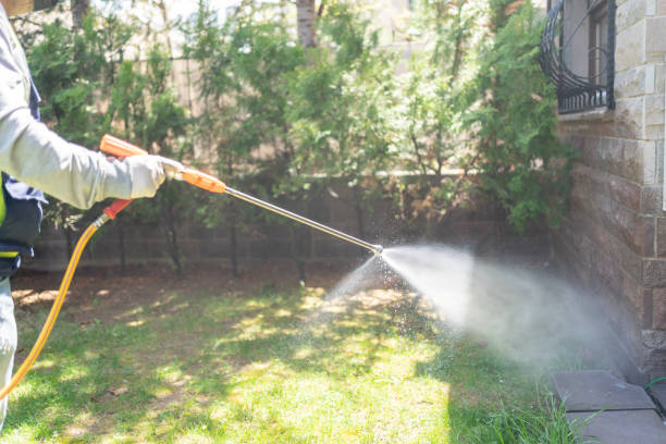 Best Best Pest Control Companies  in Gages Lake, IL